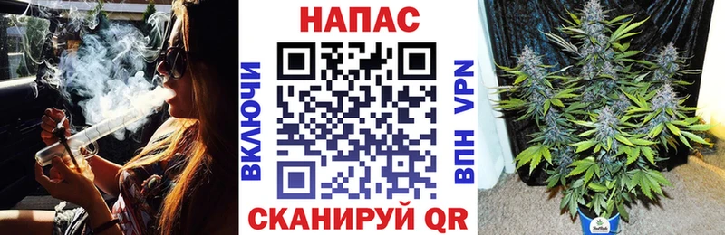 цена   Костерёво  Бошки Шишки THC 21% 